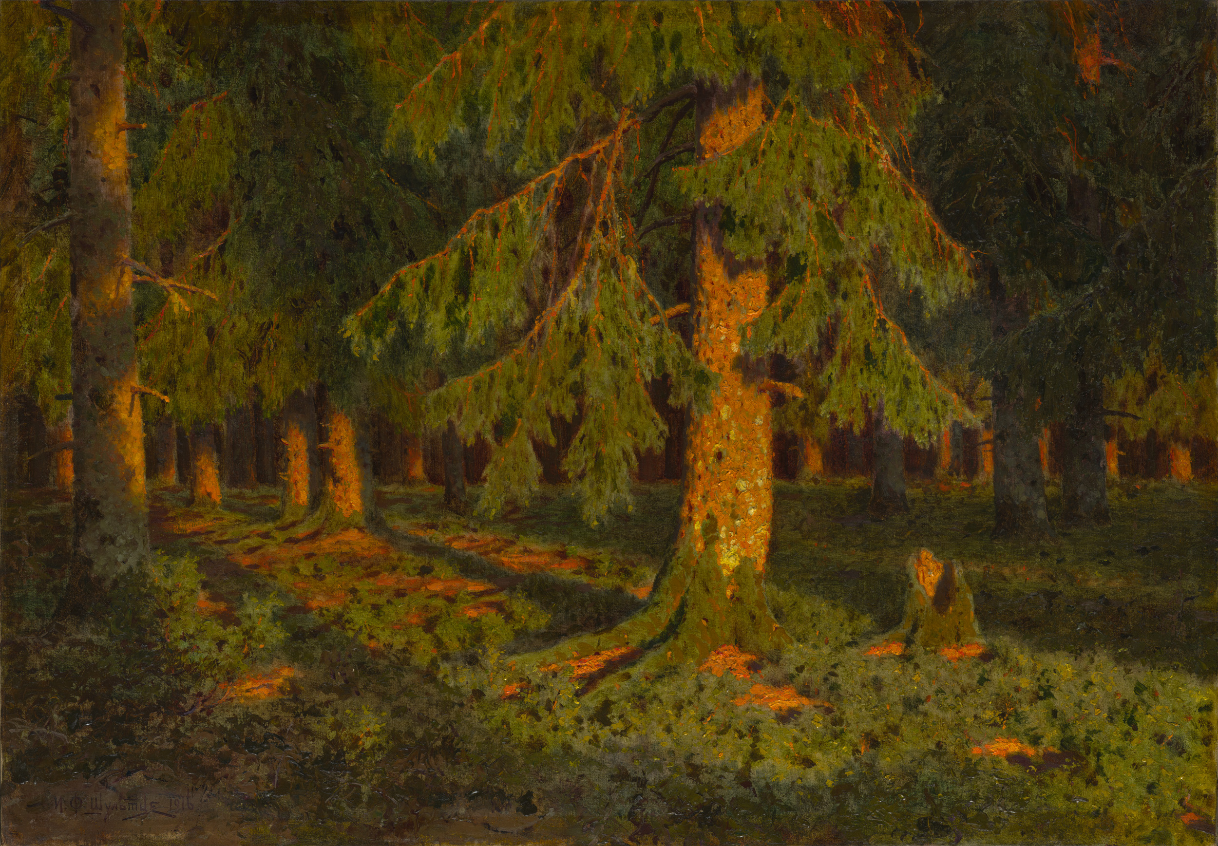 Иван ШУЛЬТЦЕ, Солнце в лесу, 1916