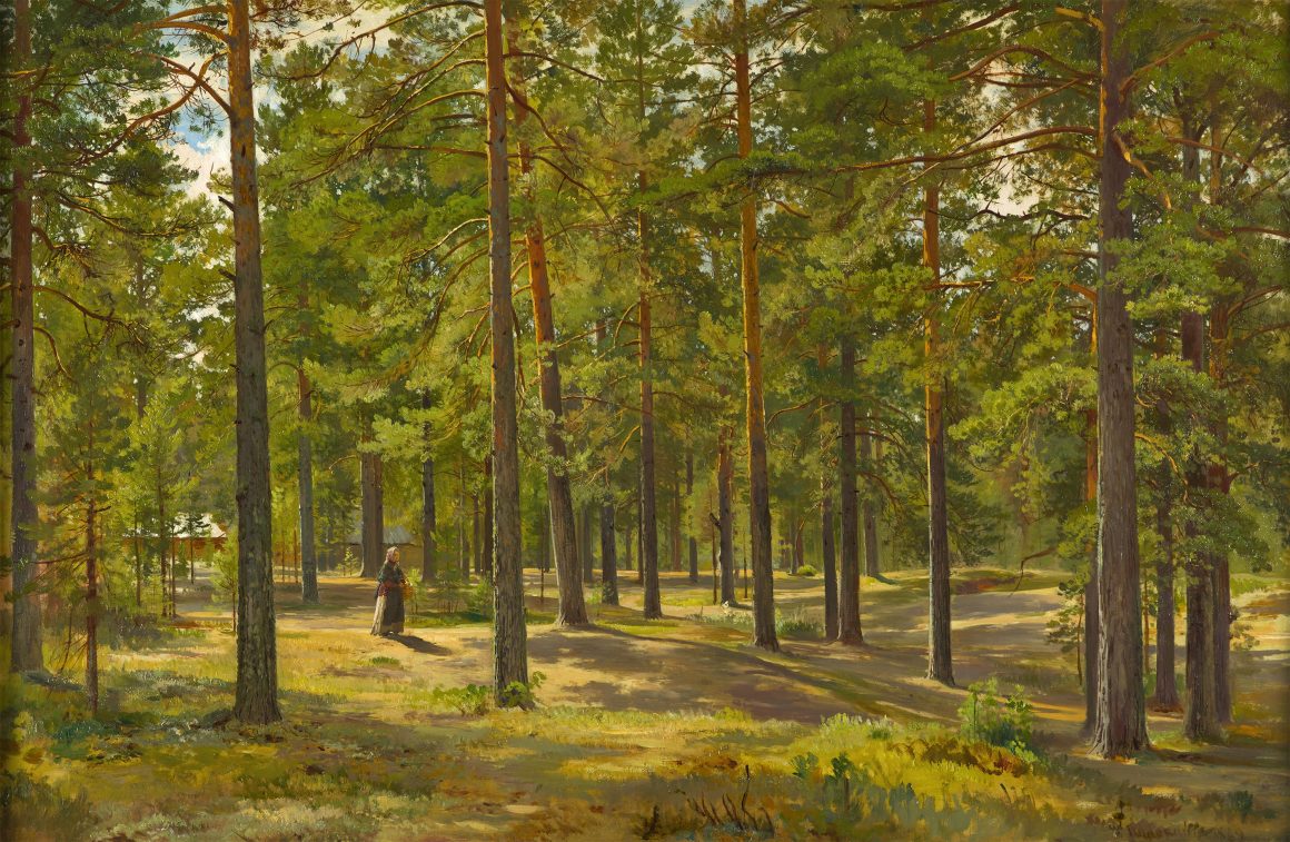 Иван ШИШКИН, Девушка в сосновом бору, 1889 Иван ШИШКИН, Девушка в сосновом бору, 1889